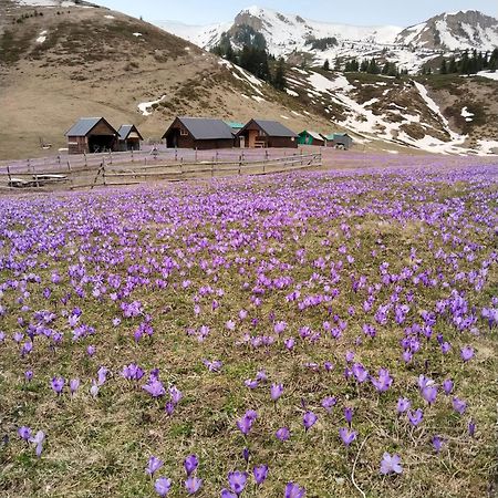Katun Siska Medna Dolina Villa Беране Екстериор снимка