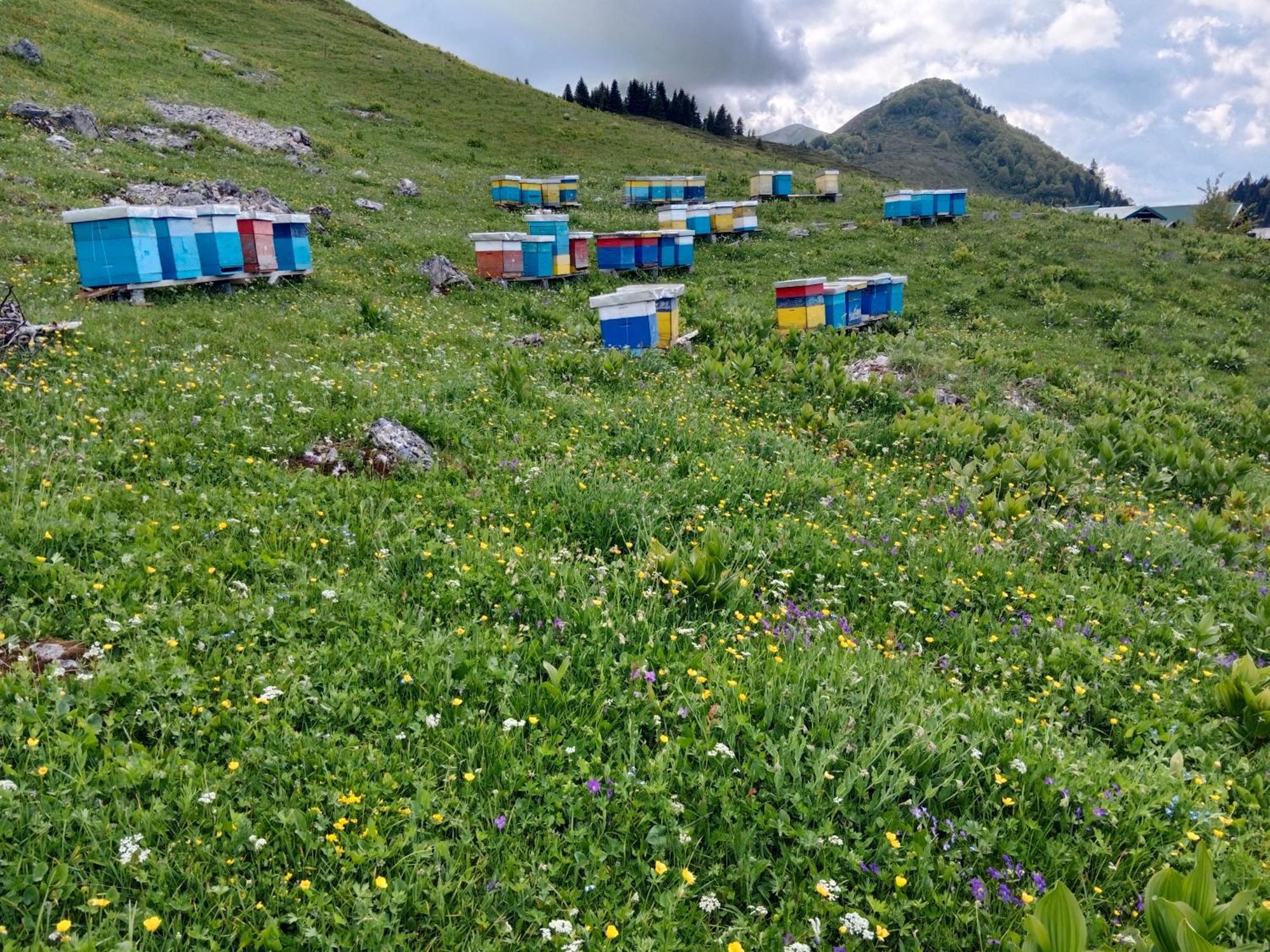 Katun Siska Medna Dolina Villa Беране Екстериор снимка