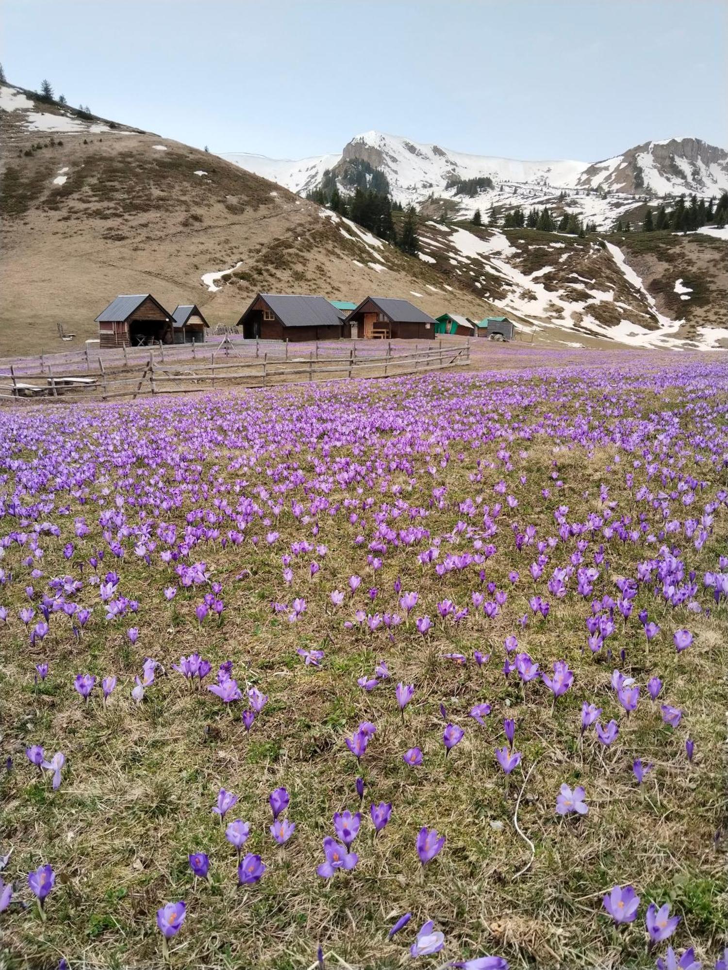 Katun Siska Medna Dolina Villa Беране Екстериор снимка